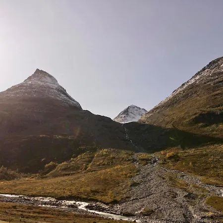 Geitsetra * Boverdalen